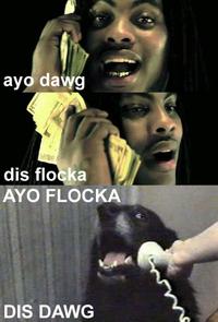 Yes, This is Dog