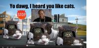 Xzibit Yo Dawg