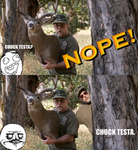 Nope! Chuck Testa