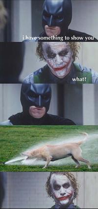 Dark Knight 4 Pane