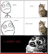 Oh Crap / OMG Rage Face