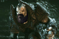 Dom's Beard