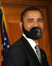 Dom's Beard