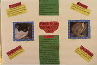 Fake Science Fair Projects