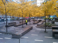 Occupy Wall Street