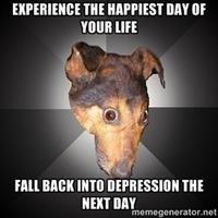 Depression Dog