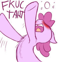 tumblr_lqwflzYJwU1r0cnmso4_250.jpg