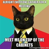 Business Cat