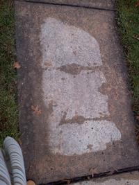 Things With Faces