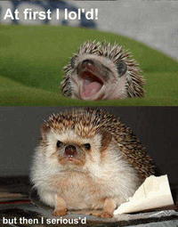 At First I Was Like...