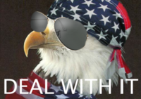 Deal With It