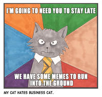 Business Cat