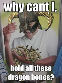 The Elder Scrolls
