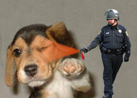 Casually Pepper Spray Everything Cop