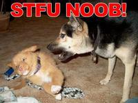 Noob