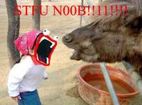 Noob