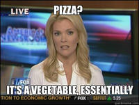 Megyn Kelly Essentially