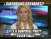 Megyn Kelly Essentially