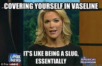Megyn Kelly Essentially