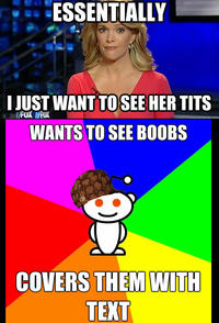 Megyn Kelly Essentially