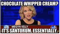 Megyn Kelly Essentially