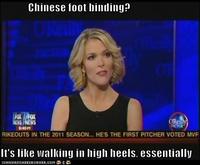 Megyn Kelly Essentially