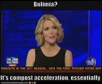 Megyn Kelly Essentially
