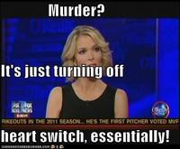 Megyn Kelly Essentially