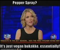 Megyn Kelly Essentially