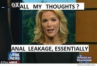Megyn Kelly Essentially