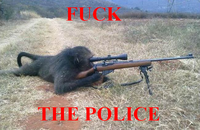 Monkey-sniper