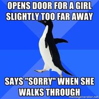 Socially Awkward Penguin