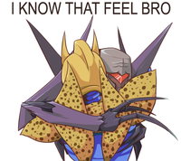 I Know That Feel Bro