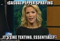 Megyn Kelly Essentially