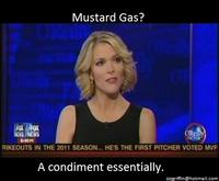 Megyn Kelly Essentially