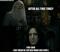 5ever