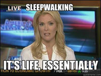 Megyn Kelly Essentially