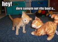 LOLcats