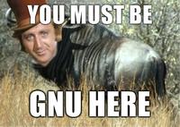You Must Be New Here