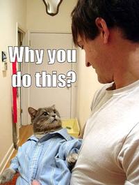 LOLcats