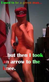 I Took an Arrow in the Knee