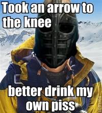 I Took an Arrow in the Knee