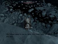I Took an Arrow in the Knee