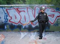 Casually Pepper Spray Everything Cop