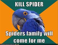 Paranoid Parrot