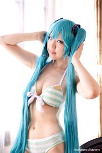 Hatsune Miku / Vocaloid