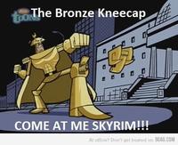 I Took an Arrow in the Knee