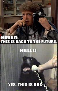 Yes, This is Dog