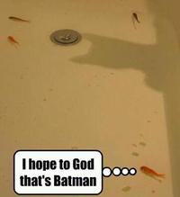 LOLcats