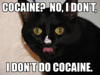 I Fucking Love Cocaine / Cocaine Bear